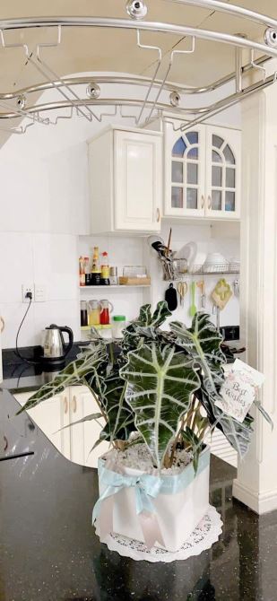 Cần bán nhà kiệt ô tô Châu Văn Liêm - 2