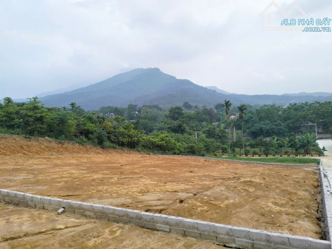 13 tỷ sở hữu 4438m2 có 800m2 đất ở, View núi cánh đồng, đất Ba Trại, Ba Vì - 2