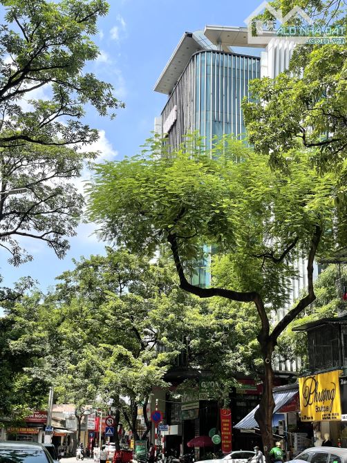 Bán Nhà Mặt Phố lô góc  Đường Nguyên Hồng, 105 tỷ, 100m2, nhiều tiện ích. - 2