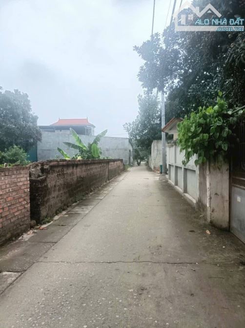 Mảnh đất nhỏ xinh giá rẻ gần chợ 👉 thắng lợi -thường tín - 2
