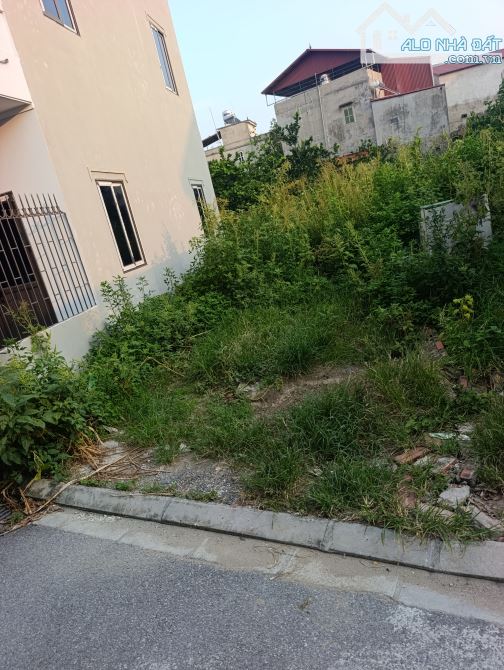 Bán đất Đa Tốn 45m ô tô vào đất ,tiện ích ngập tràn. - 2