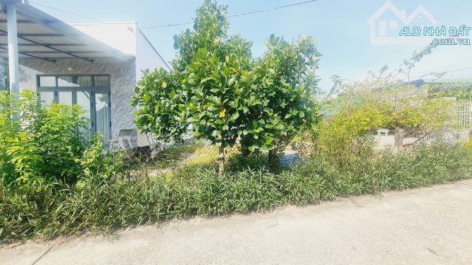 bán đất thổ cư gần biển LaGi, Lâm Đồng. 178m2,đường ôtô, giá 950 triệu - 2