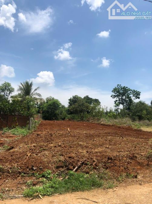 Bán đất tại Đường B5 Thôn 4 Phường BMTgiá 2tỷ150tr 10m ngang tổng DT: 430m2 Pháp lý đầy đủ - 2