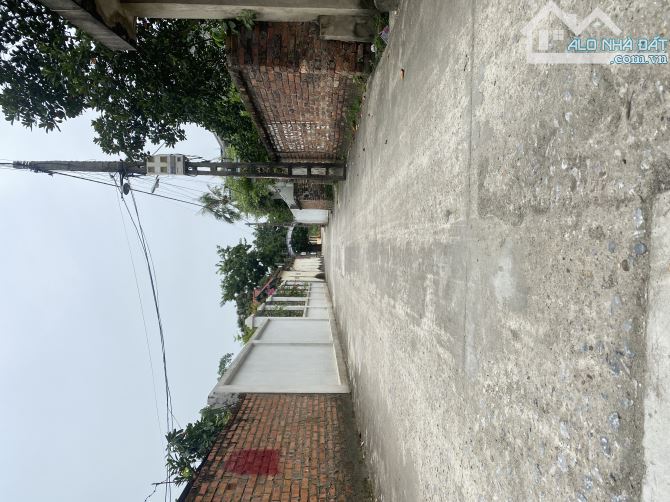 BÁN ĐẤT MAI ĐÔNG, MAI ĐÌNH, SÓC SƠN. DT 121m2. Mt 5m. Full thổ. - 2