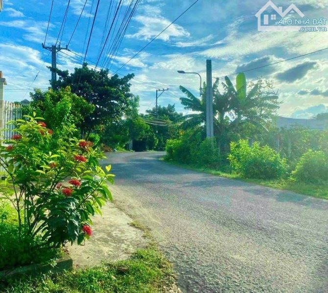 Bán gấp đất Bình Lợi, Vĩnh Cửu. Sổ riêng thổ cư (D054) - 2