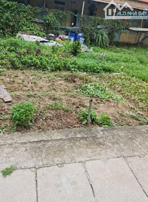 🏡 BÁN ĐẤT ĐẸP NGŨ HIỆP – Ô TÔ VÀO TẬN NƠI – 60M² – 7.8 TỶ - 2