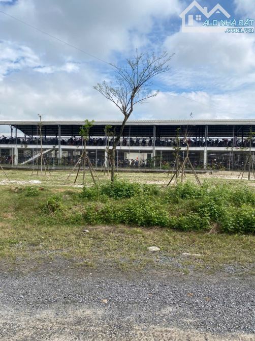 Bán Đất Mặt Tiền Đường Trường Chinh – Thị Trấn Ái Tử, Quảng Trị đường 23m-12xx - 3