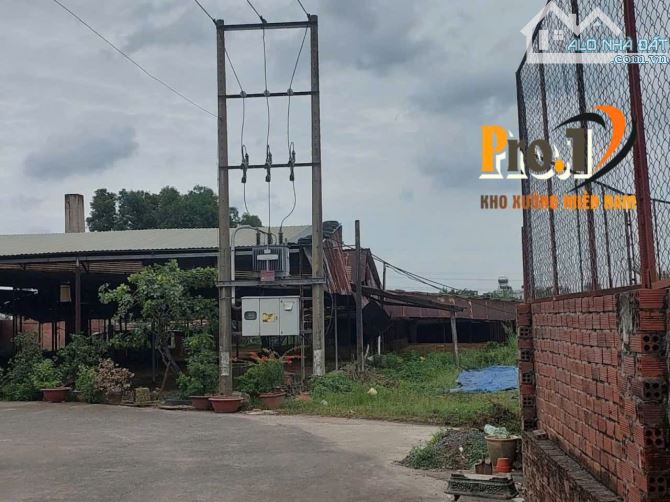Cho thuê đất và xưởng 5000m2 Phước Tân, Biên Hòa, Đồng Nai - 3