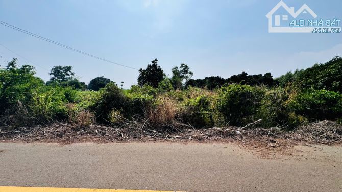 🔺XÃ ĐẤT ĐỎ TP HỒ CHÍ MINH CÁCH BIỂN HỒ TRÀM 15phút   DT 1000m2 có 100tc ngang 11,4x89m  ✅ - 3