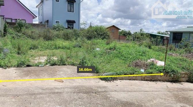Bán 328m2 Đất Biệt Thự Măng Lin, Phường 7, TP. Đà Lạt – View Thoáng, Full Thổ Cư - 3