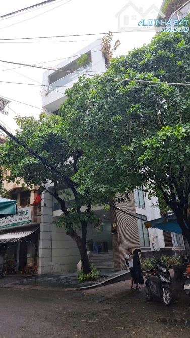 🏡 BÁN NHÀ KHU BIỆT THỰ ĐƯỜNG HOA – SỐ 1 HOA CAU, P.7, PHÚ NHUẬN - 3