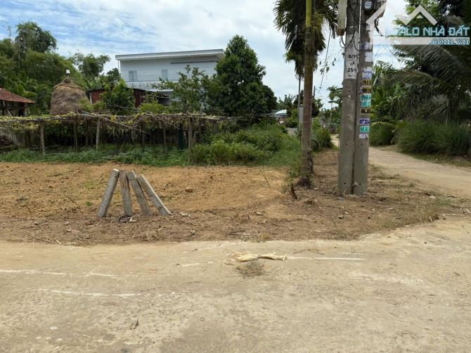Cần tiền bán lô góc 170m2 cách sông 100m. cách hội an 4km. giá 4,5tr/1m2. sẵn sổ đỏ. - 3