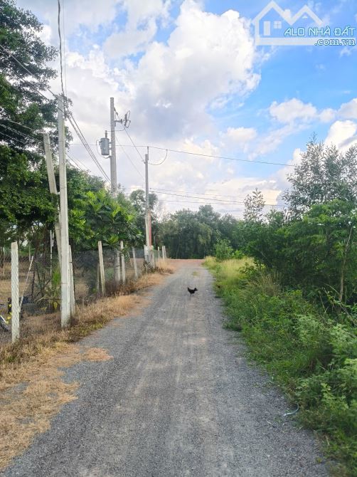TÂY NINH, BÁN LÔ ĐẤT XÃ DƯƠNG MINH CHÂU DT 5x25m THỔ CƯ 125m2, GIÁ 550 triệu - 3