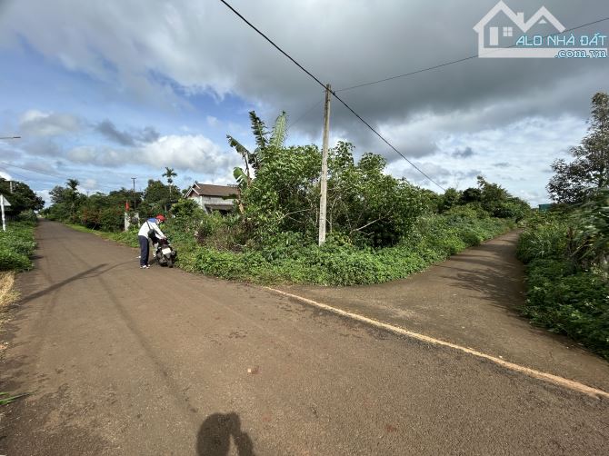 🅿️❇️835tr/1 Lô Góc 2 MT Kotam, Phường Tân An, Đường nhựa 10m, cách KDL Kotam 3km❇️ - 3