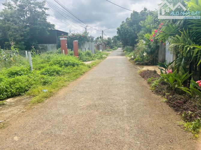 🅿️❇️Góc 2mt KA8 và KB4, cách vành đai chỉ 50m, (5×27 tc 60m², thực tế 5,35m)❇️ - 3