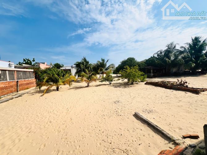 Bán đất Hàm Tiến - Phường Mũi Né gần biển - 3