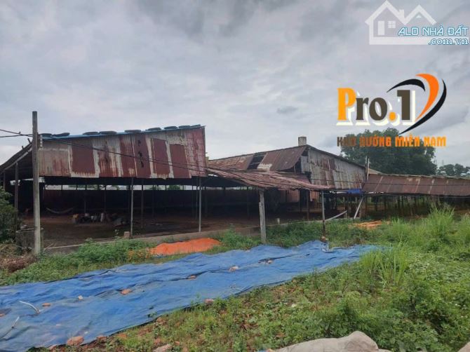 Cho thuê đất và xưởng 5000m2 Phước Tân, Biên Hòa, Đồng Nai - 4