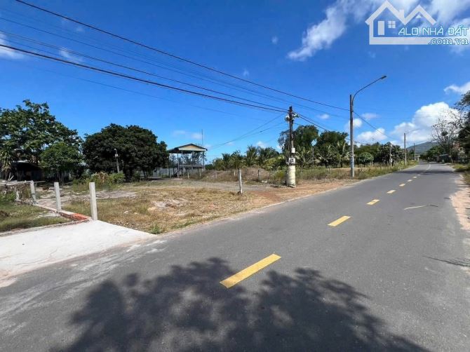 KẸT TIỀN CẦN THANH LÝ GẤP LÔ ĐẤT NẰM NGAY GẦN MẶT TIỀN TL 44B THỊ TRẤN PHƯỚC HẢI - 4