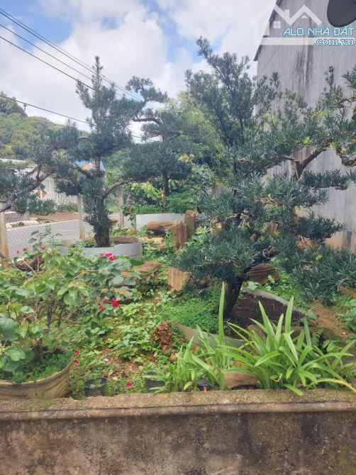 BÁN GẤP CĂN NHÀ MẶT TIỀN PHAN HUY ÍCH P3 TP BẢOLỘC , GIÁ : 6,9 tỷ - 4