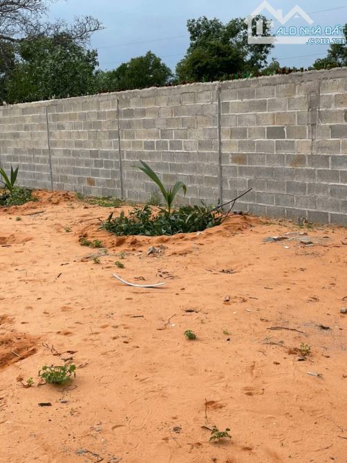 Bán đất Hàm Tiến gần biển Phường Mũi Né - 4