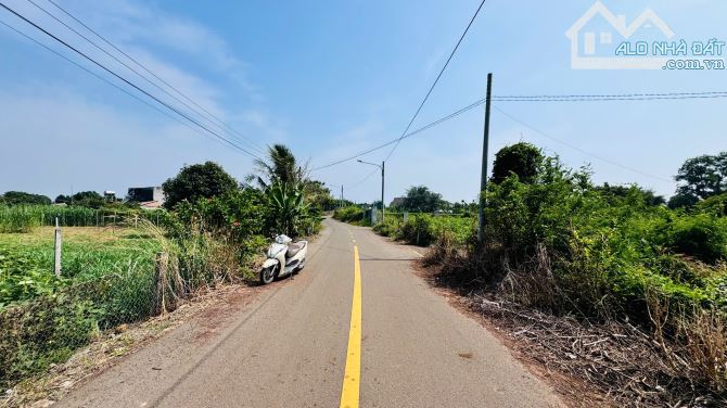 🔺XÃ ĐẤT ĐỎ TP HỒ CHÍ MINH CÁCH BIỂN HỒ TRÀM 15phút   DT 1000m2 có 100tc ngang 11,4x89m  ✅ - 5