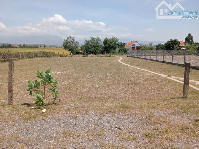 Bán Lô Đất Ninh Thân - Ninh Hòa Giá Chỉ 499 Triệu - 5