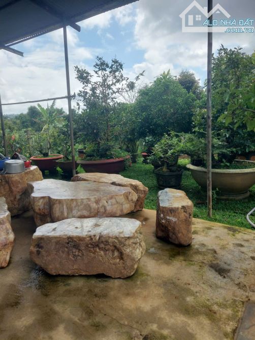 BÁN GẤP CĂN NHÀ MẶT TIỀN PHAN HUY ÍCH P3 TP BẢOLỘC , GIÁ : 6,9 tỷ - 5