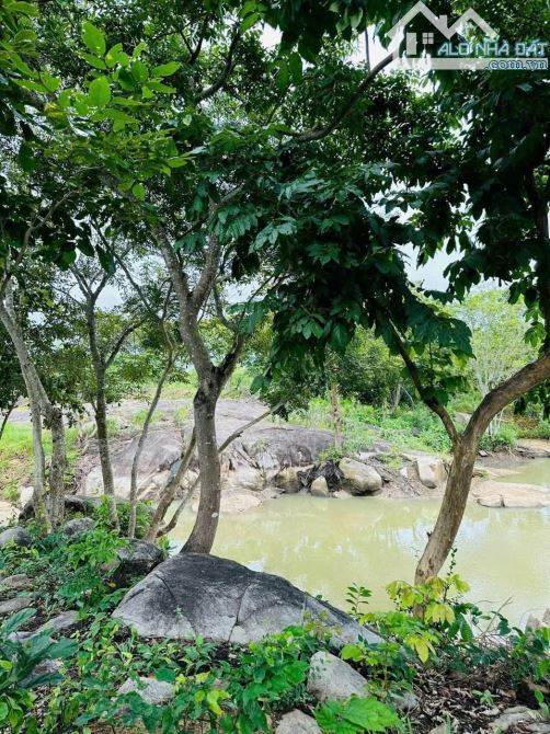 LÔ ĐẤT VƯỜN CỰC RỘNG NGAY CHÂN NÚI XÃ LONG ĐIỀN -TP HCM 📐Diện tích 13000m2 mặt tiền đường - 5