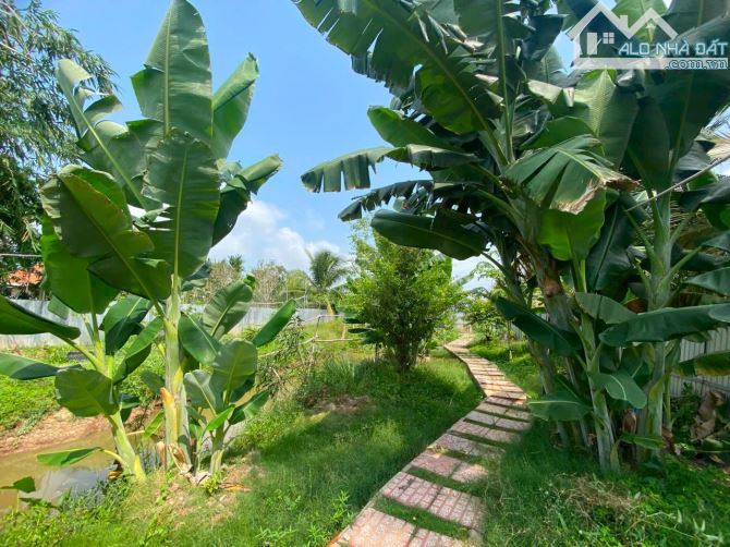 BÁN ĐẤT KHU NGHĨ DƯỠNG ĐƯỜNG LÊ HỒNG PHONG, KV BÌNH HƯNG, PHƯỚC THỚI, Ô MÔN - 5