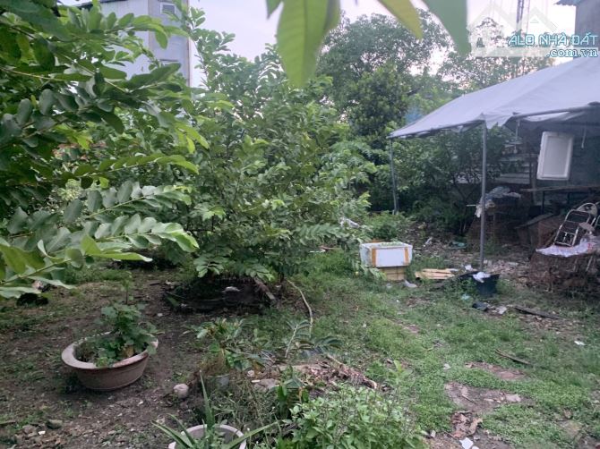 HÀNG THƠM Hẻm Xe Hơi LINH XUÂN THỦ ĐỨC DT: 657m2 Ngang 12m Giá 23.8 Tỷ - 6