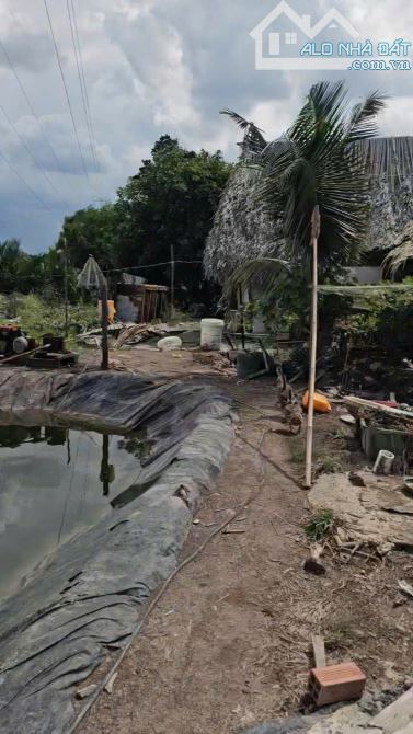 bán Lô Đất Tại Xã Bình Khánh, Huyện Cần Giờ, TP Hồ Chí Minh. - 6