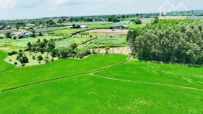 845m2 vườn cây ngay QL55 VIEW ÔM TRỌN CÁNH ĐỒNG LÚA🌾🌾 --- 🌈DT: 845m2; sẵn 80m thổ cư ✅ - 6