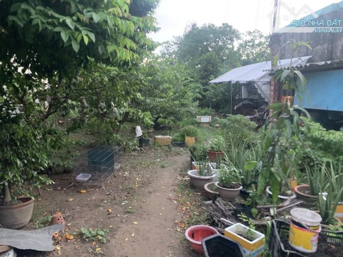 HÀNG THƠM Hẻm Xe Hơi LINH XUÂN THỦ ĐỨC DT: 657m2 Ngang 12m Giá 23.8 Tỷ - 7