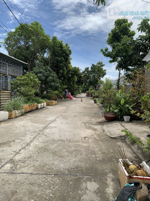 Kẹt tiền ! Bán gấp căn nhà ở Đ. Trần Văn Chẩm , Tân Thông Hội , Củ Chi 100m2 SHR giá 845tr - 7