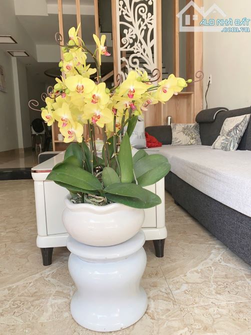 🔥🔥BÁN NHÀ 4 TẦNG KIỆT ĐẦU ĐƯỜNG NGUYỄN THÀNH HÃN – GẦN TRƯNG NỮ VƯƠNG, NGUYỄN HỮU THỌ - 8