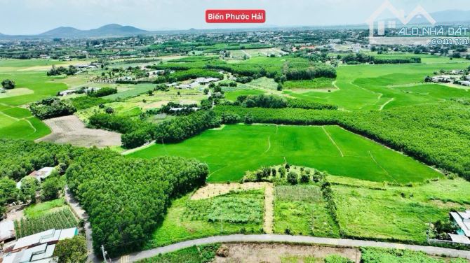 845m2 vườn cây ngay QL55 VIEW ÔM TRỌN CÁNH ĐỒNG LÚA🌾🌾 --- 🌈DT: 845m2; sẵn 80m thổ cư ✅ - 8