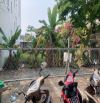 📌📌📌LÀM VIỆC TRỰC TIẾP GIÁ TỐT !!!Bán lô kiệt ỷ lan nguyên phi