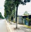 470m2 - 🔺MẶT TIỀN TL52 XÃ ĐẤT ĐỎ TP HỒ CHÍ MINH cách chợ Long Tân 1km