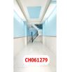 Nhà Cư Xá Phú Lâm A - 3.5 X 11M - 4,78 Tỷ - Khu An Ninh