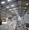 Bán gấp nhà xưởng mặt tiền đường nhựa 113 - Hố Nai 3, Trảng Bom, Đồng Nai
