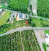 🥑 BÁN VƯỜN BƠ – TRUNG TÂM THỊ TRẤN PHƯỚC HẢI – GẦN BIỂN 🏝️