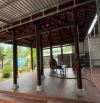 Bán vườn Phước Hội  DT: 2100m2 - ngang 20 dài 100 - Đường nhựa. Có 2 căn nhà gỗ,giá 6ty