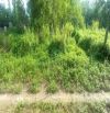 Bán gấp đất nhánh đường Thạch Ngọc Biên, Phường 9, TP Trà Vinh