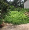 Bán đất Phúc Thành, Biên Giang – 48m², giá đầu tư Vị trí đẹp, gần bến xe Yên Nghĩa, ngõ rộ