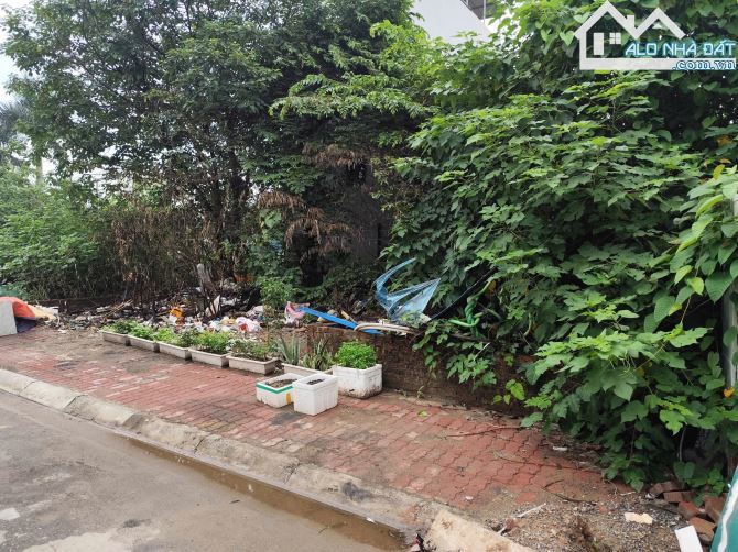 Bán gấp đất dịch vụ Phú Vinh, DT 45m2, mt4.31m, giá chỉ 169tr/m2