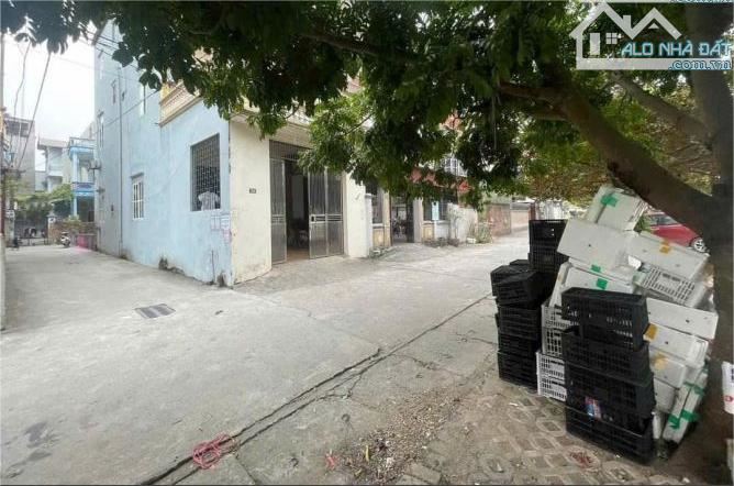 Bán 55m đất sổ đỏ chính chủ ô tô 7 chỗ đỗ cửa tại trung tâm Vĩnh Ngọc Đông Anh - 1