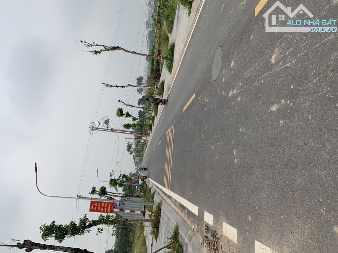 ĐẤT ĐẸP ĐƯƠNGF THÔNG Ô TÔ ĐỖ ĐẤT