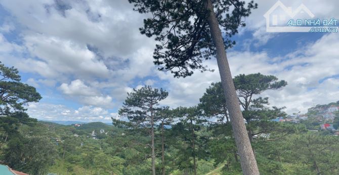 Biệt Thự Đẹp - View Thông Đà Lạt - Cách Chợ Đà Lạt Chỉ 3Km