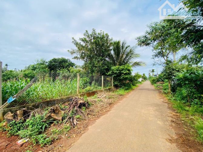BÁN ĐẤT MẶT TIỀN KA2 – EATU, PHƯỜNG TÂN AN TRỤC THÔNG RÔNG A VÀ VÀNH ĐAI 14/26