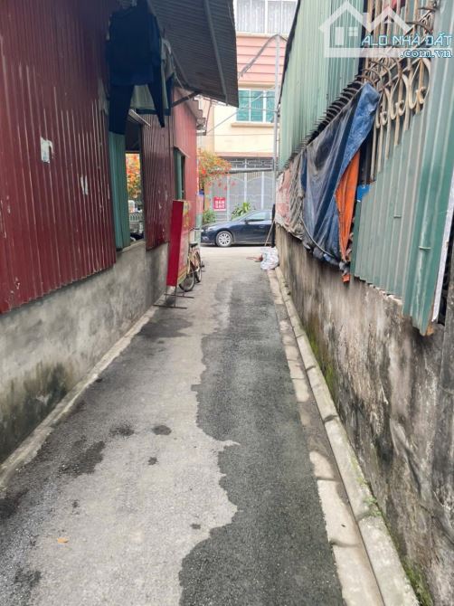 50m Trâu Quỳ, hàng hiếm lõi đô thị Gia Lâm